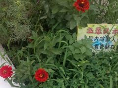 -奉天宴遇烧烤·冒锅