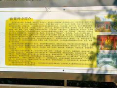 -雨花胜境