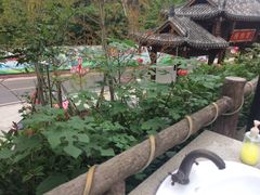-楠柏弯休闲山庄(梨花溪店)