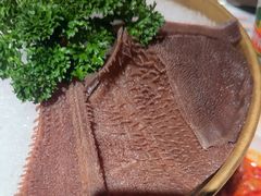 -东道煮牛肉火锅(东盛大街店)