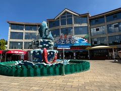 -青鱼湾水上乐园