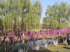 -白塘生态植物园