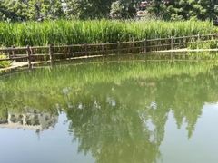 -成都市活水公园
