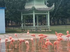 -秦皇岛野生动物园