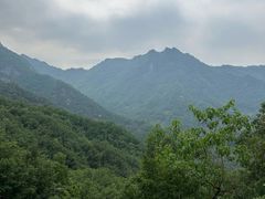 -内乡宝天曼生态旅游区