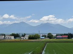 -富田农场