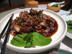顺德碌鸭-大榕树下顺德菜(融创茂店)
