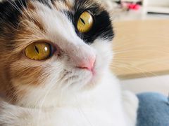 -平行世界·猫咖(首经贸店)