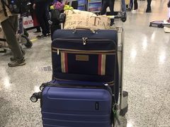 -上海浦东国际机场-T2航站楼
