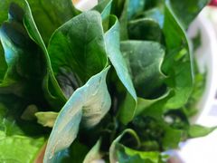 -草原塞蛮羊火锅城(港湾店)