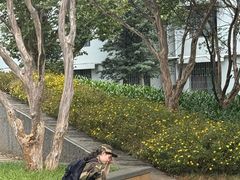 -云南师范大学(一二一西南联大校区)