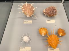 -天津古林古海岸遗迹博物馆