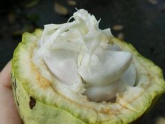 -三亚凤凰水城凯莱度假酒店