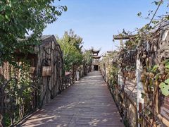 -呀路古热带植物园
