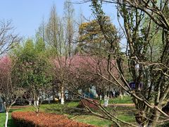 -云漫湖生态度假公园