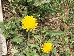 -长春公园(普阳街道)