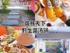 -菌林天下·野生菌汤锅