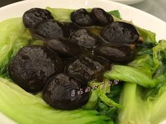 -畔山酒店中餐厅