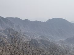-大岭沟猕猴桃谷风景区