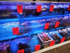 水产区-洲晓鲜·舟山海鲜大排档(朱家尖风景区店)