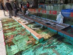 水产区-景好海鲜餐厅(大鹏必选旅游店)