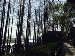 -苏州太湖湖滨国家湿地公园