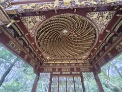 -汇龙潭