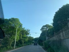 -长沙黑麋峰国家森林公园