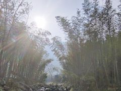 -明月山风景名胜区
