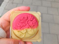 -北陵公园
