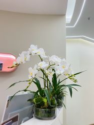 点击看大图 -予初皮肤管理中心