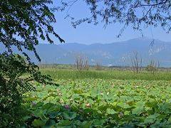 -野鸭湖国家湿地公园