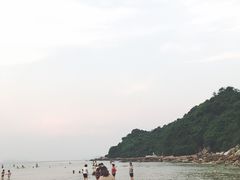 -杨梅坑