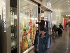 -谢列梅捷沃国际机场