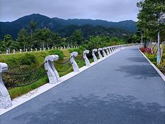 -西涌国际滨海旅游区