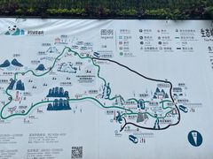 -碧峰峡风景区