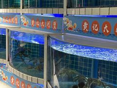 -黄记大闸蟹专卖店·活蟹·醉蟹
