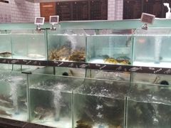 -中百生活剧场(泛海城市广场店)