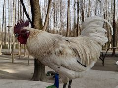 -昆山城市生态森林公园