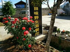 -蘑统田下·野生菌火锅