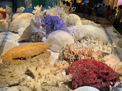 -贝林大翅鲸简餐厅(国家海洋博物馆店)