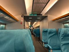 -龙阳路磁悬浮列车总站-停车场