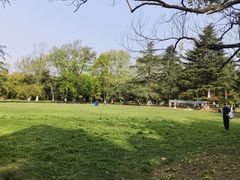 -花溪公园