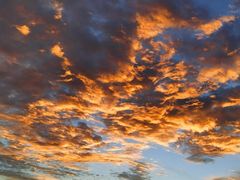 -南宁良凤江国家森林公园