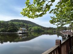 -庐山风景区花径公园