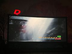 -枫花园汽车电影院(朝阳公园店)