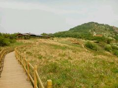 -野三坡百草畔景区