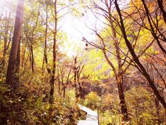 -北京灵山风景区