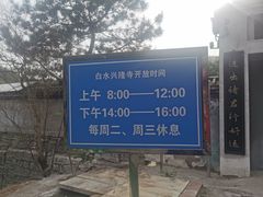 -白水寺森林公园