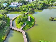 -福田红树林生态公园